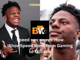 speed net worth