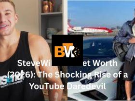 stevewilldoit net worth