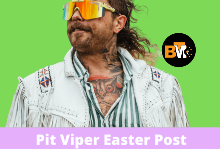Pit vipers