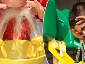 10 essential steps for emergency eyewash stations