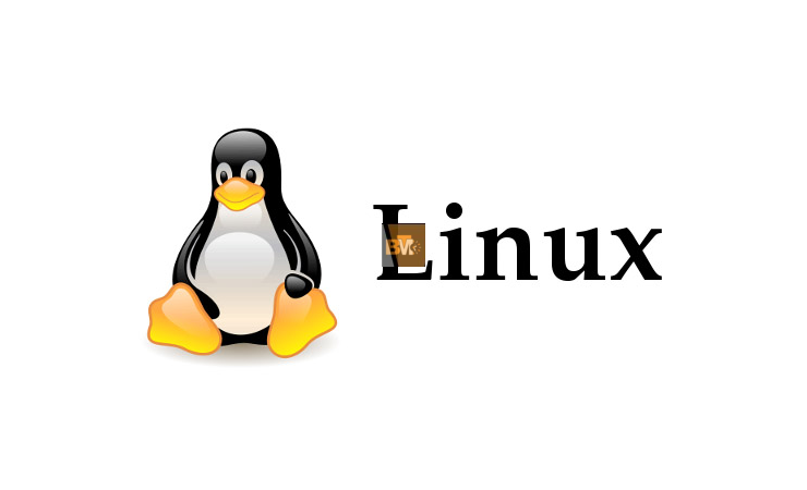 Linux