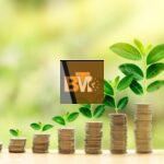 Wealth Growth