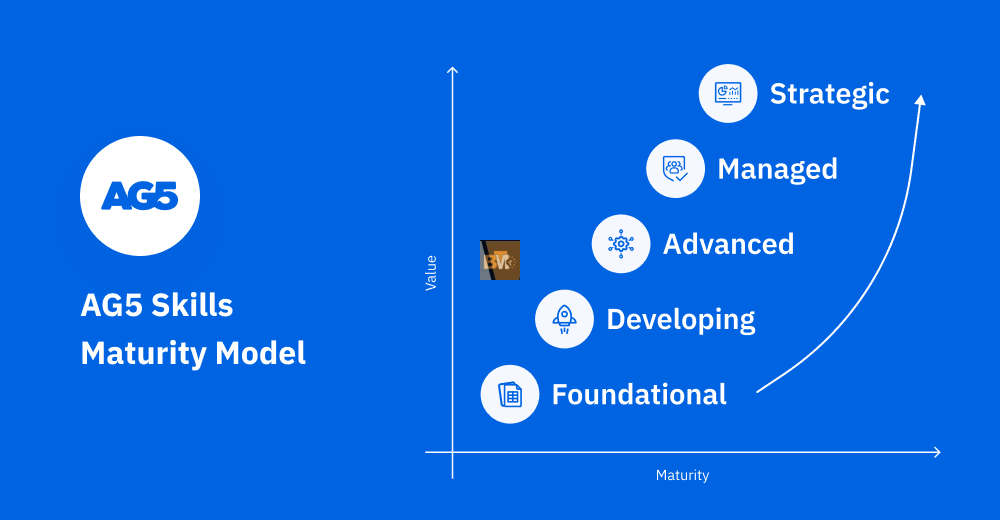 AG5-skills-maturity-model-1