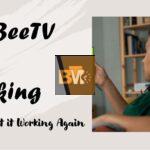 BeeTV