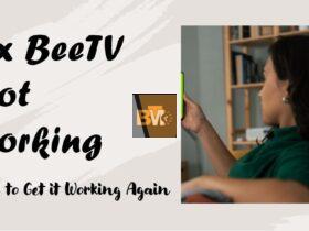 BeeTV