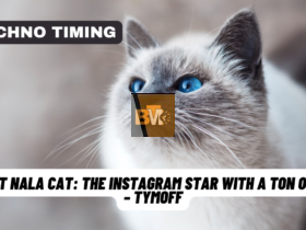 meet nala cat: the instagram star with a ton of fo - tymoff