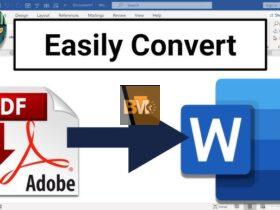PDF