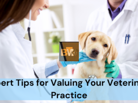 Veterinary Practice