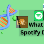 spotify dna