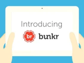 bunkr search