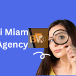 egochi miami seo agency