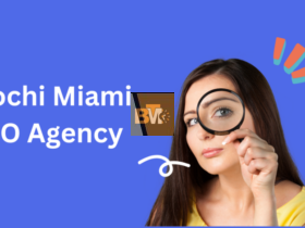 egochi miami seo agency