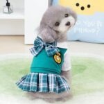 chihuahua dresses.