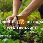 the benefits of plant nurseries webfreen.com