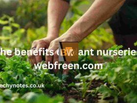 the benefits of plant nurseries webfreen.com