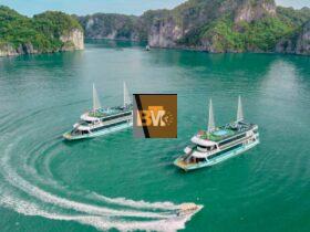 Guide to First-Time Visitors: Deciding Between Halong One-Day and Overnight Cruise