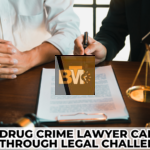 Lawyer