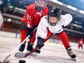 nhlbite