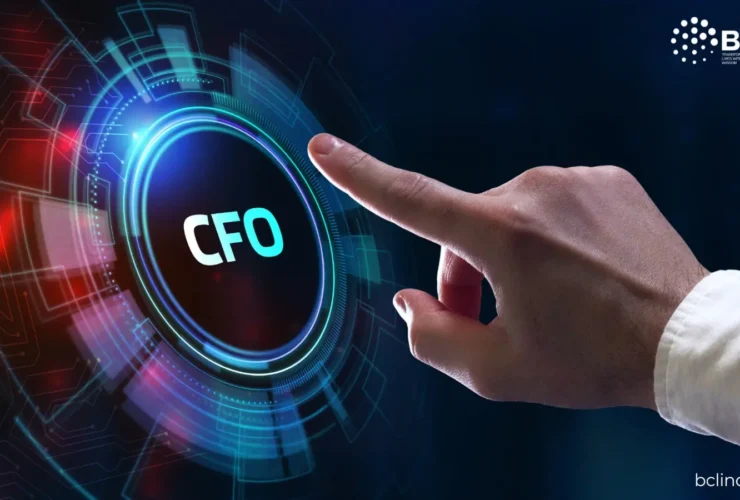 Part-Time CFO Services