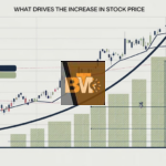 What Drives the Increase in Stock Price?
