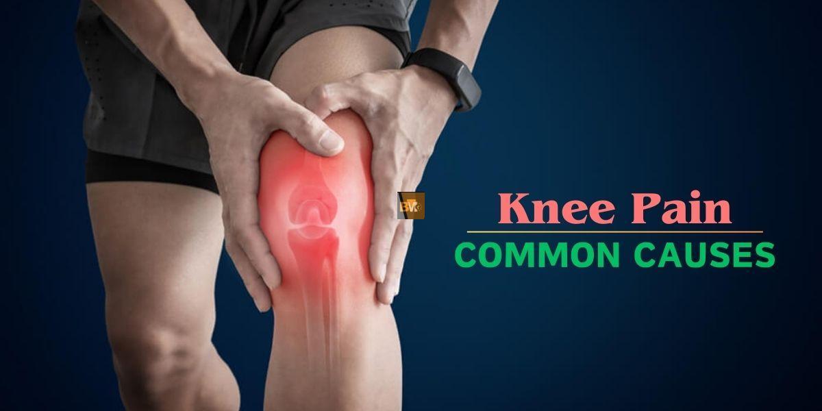 knee joint