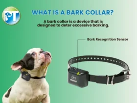 barking