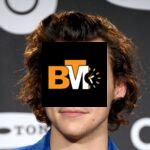 harry styles haircut