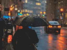 The Science Behind Rain Sound Effects