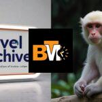 albino-monkey.net travel archives
