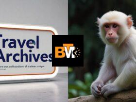 albino-monkey.net travel archives