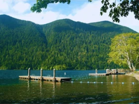 Camp New York Experience Nature Like Never Before