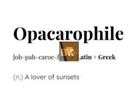 opacarophile