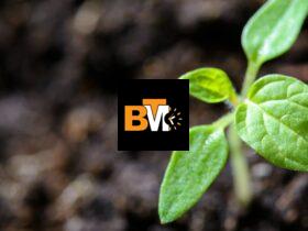 The Growing Demand for Plant-Based Nutrition: Health, Sustainability, and Ethical Benefits