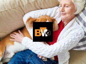 Where Can I Take My Emotional Support Dog? ESA Laws in America