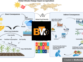 Climate Change Is a Major Threat and Now It Endangers Our Crops Too
