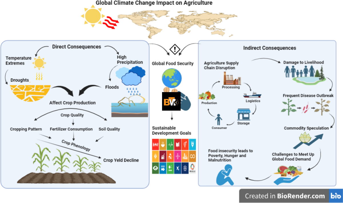 Climate Change Is a Major Threat and Now It Endangers Our Crops Too