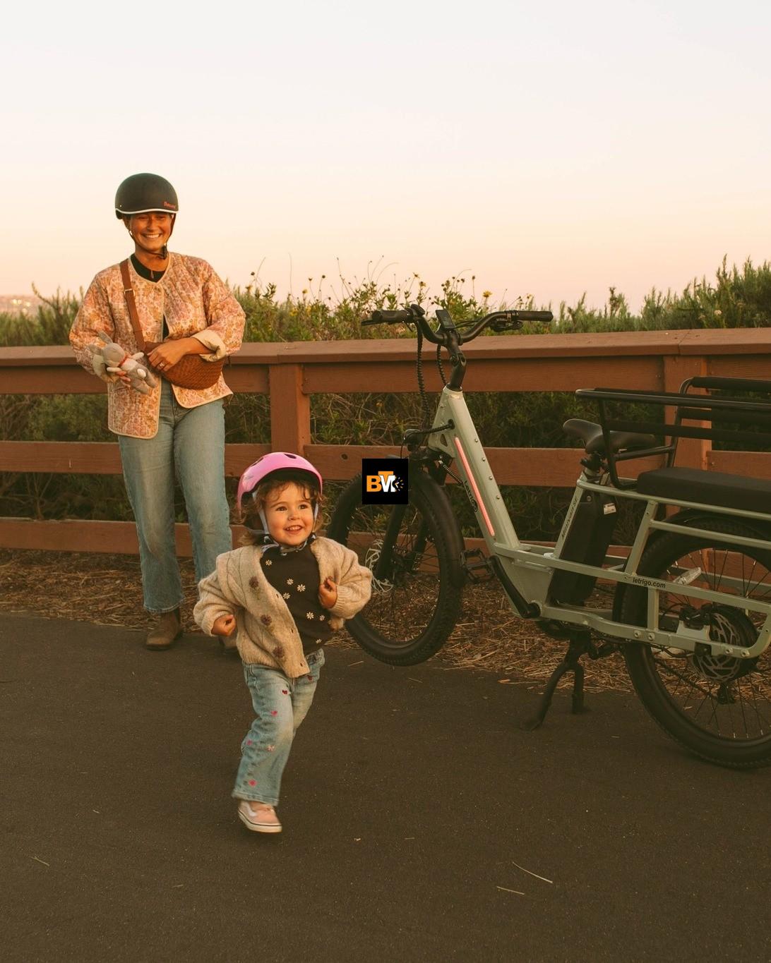 Electric bike