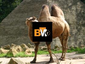 What is Camel Live? A Deep Dive Into the Football Platform Covering SPL, Premier League, and More