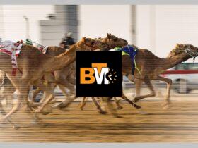 Why Football Fans Are Turning to Camel Live for Free Match Streaming
