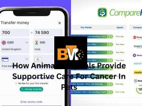 How to Send Money to India From the UK: Fast and Secure