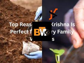 7 Soil Tests Before Planting