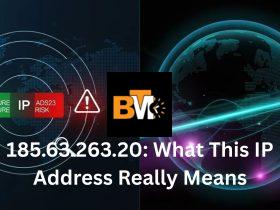 185.63.263.20