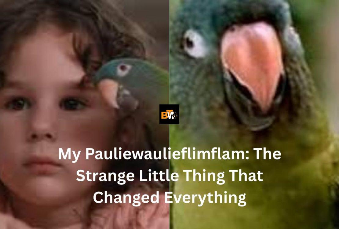 my pauliewaulieflimflam