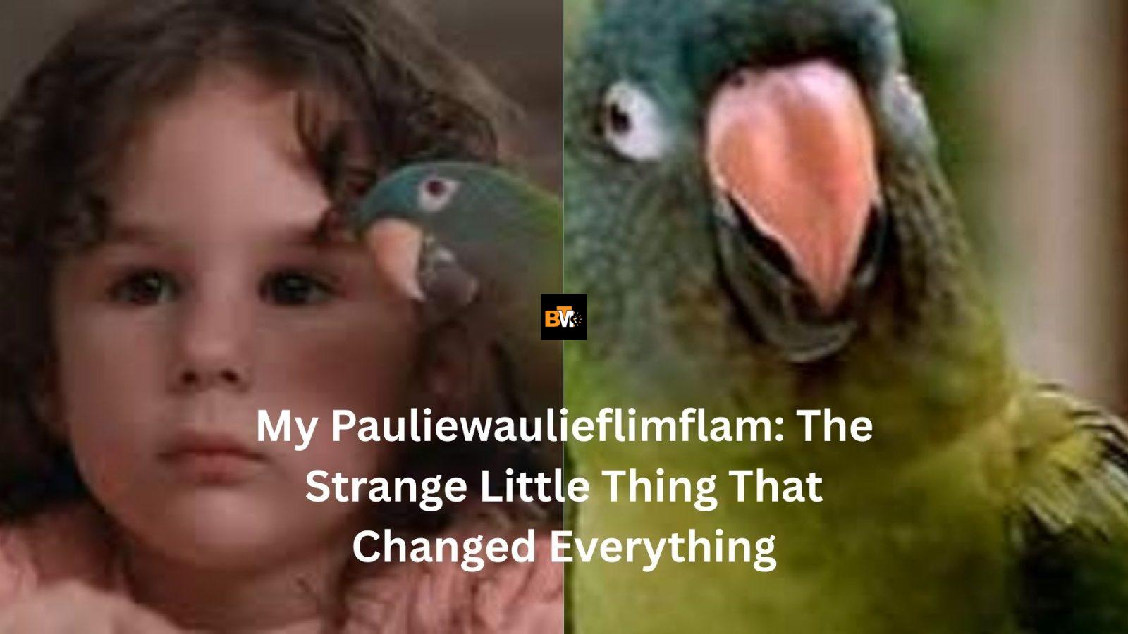 my pauliewaulieflimflam