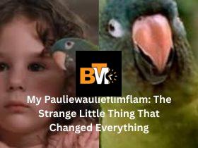 my pauliewaulieflimflam