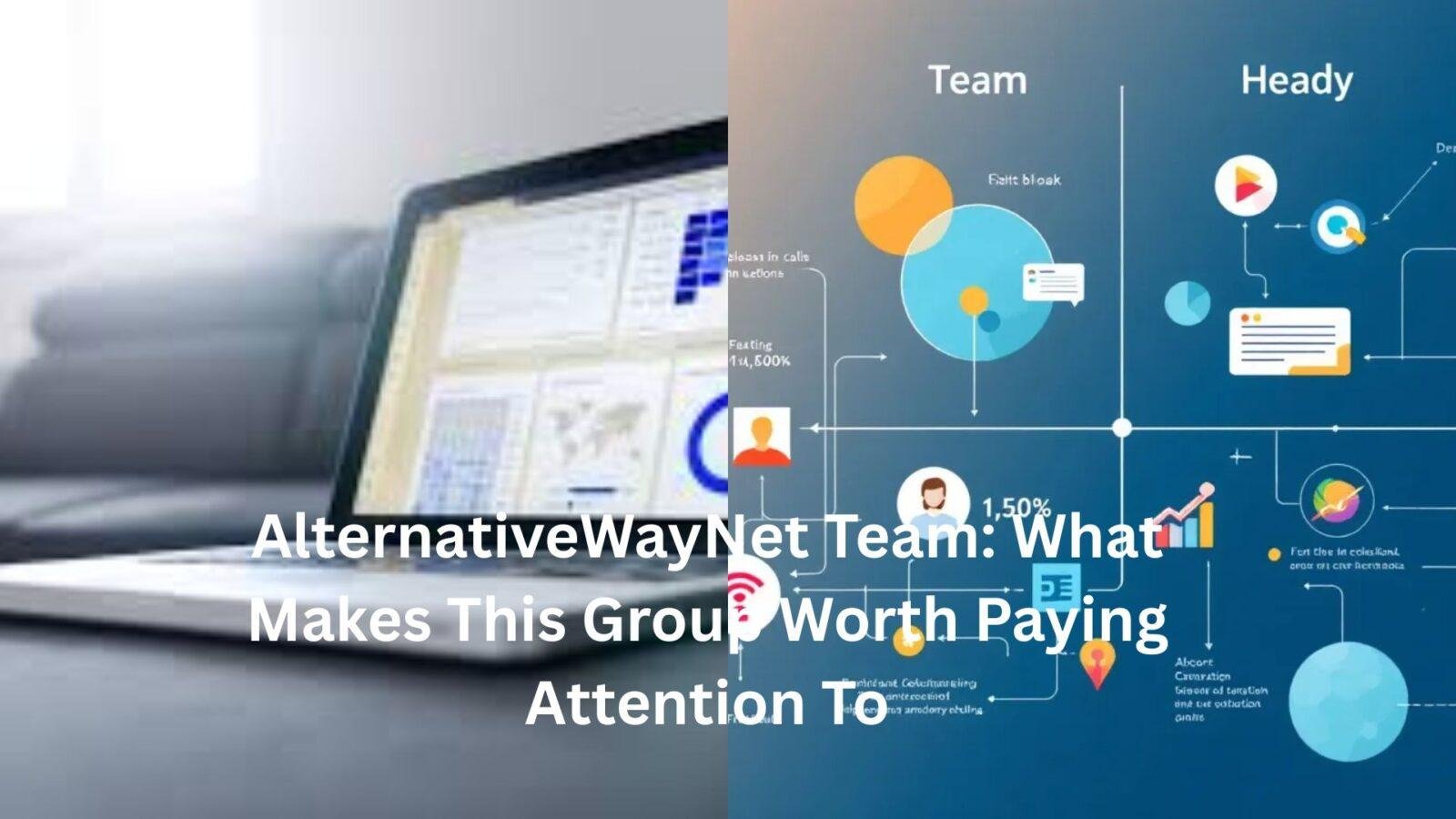 alternativewaynet team