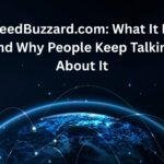 www. feedbuzzard com