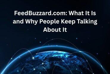 www. feedbuzzard com
