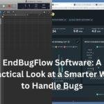 endbugflow software