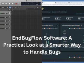 endbugflow software